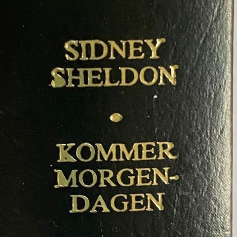 Sidney Sheldon: "Kommer morgendagen"