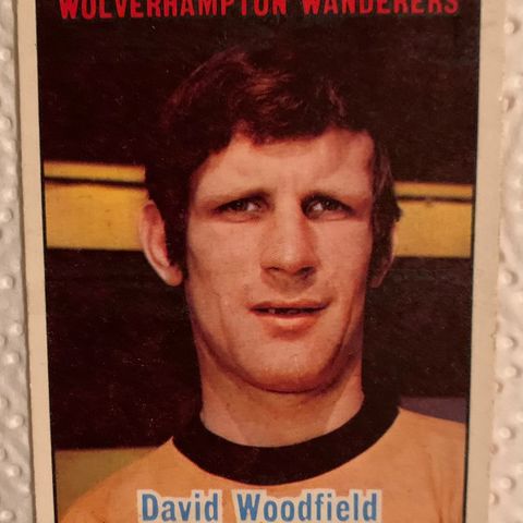 Fotballkort David Woodfield