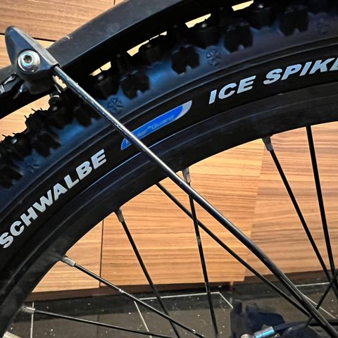 Ubrukte piggdekk Schwalbe Ice Spiker 26x2.1