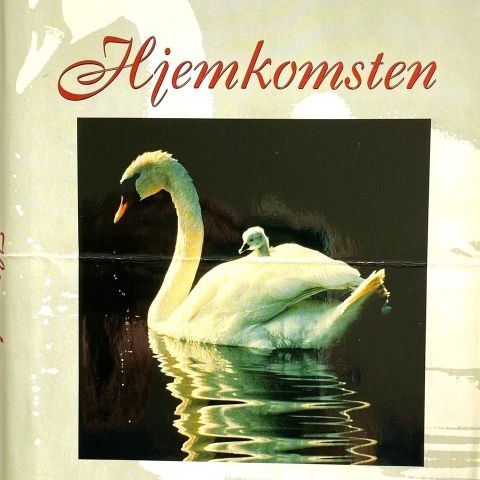 Belva Plain: "Hjemkomsten"