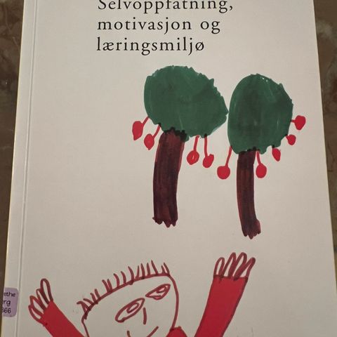 Selvoppfatning, motivasjon og læringsmiljø