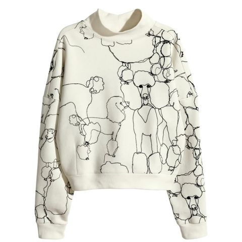 H&M genser + skjørt med puddelmotiv ønskes kjøpt!