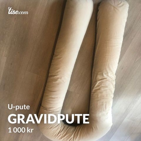 Gravidpute