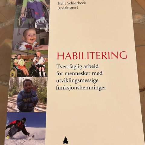 Habilitering - tverrfaglig arbeid for mennesker med utviklingsmessige