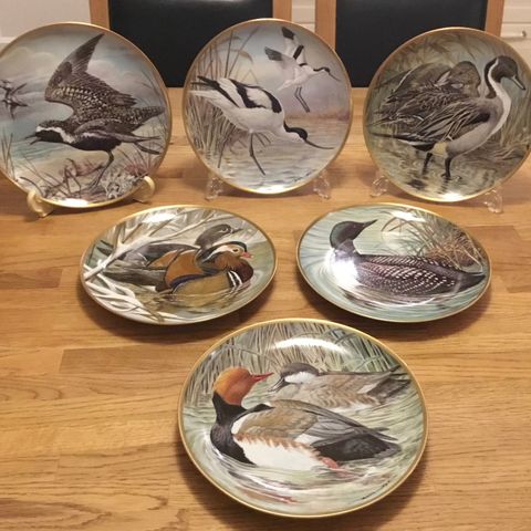 Water Birds of the World - Franklin Porcelain