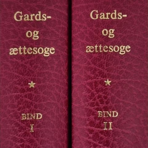 Hamre gards- og ættesoge  i to bind