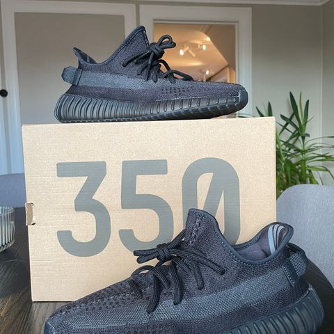 Yeezy boost 350 V2