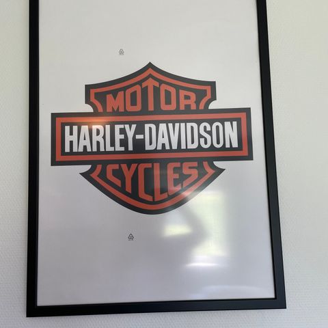Harley Davidson.