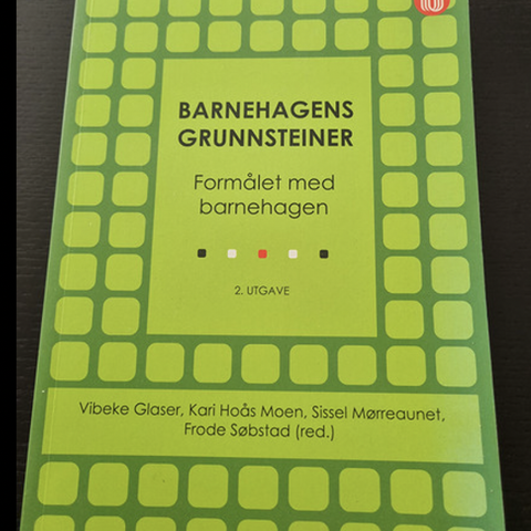 Barnehagens grunnsteiner formålet med barnehagen