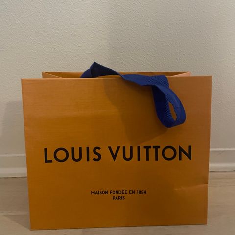 Louis Vuitton pose