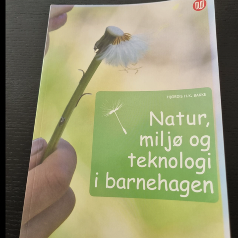 Natur, miljø og teknologi i barnehagen