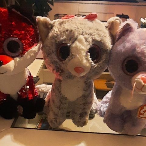 Ty Beanie Boos bamser