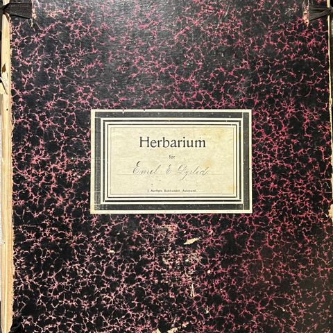 Antikk / eldre herbarium / blomstersamling ønskes kjøpt