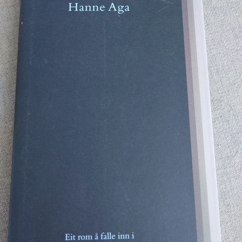 Hanne Aga - Eit rom å falle inn i