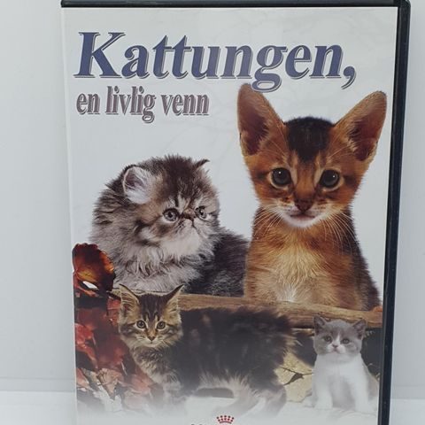 Kattungen, en livlig venn. Dvd