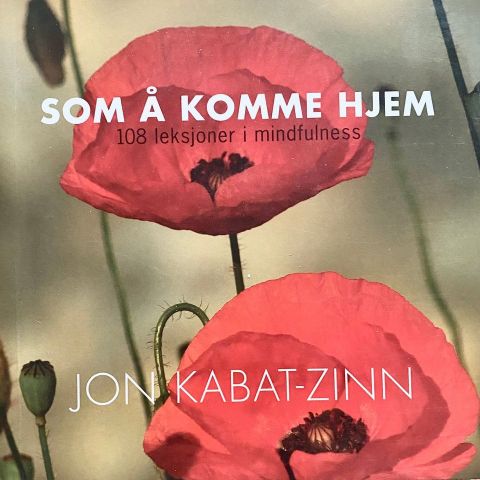 Jon Kabatz-Zinn: "Som å komme hjem. 108 leksjoner i mindfullness". Paperback