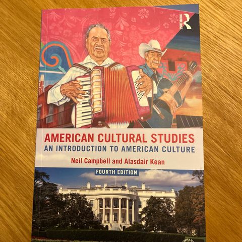 American cultural studies