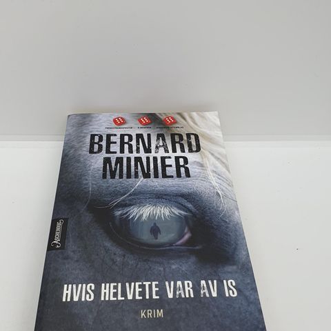 Hvis helvete var av is - Bernard Minier