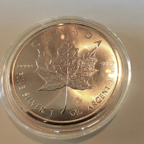 2017 Canadian Maple Leaf 1 oz sølvmynt