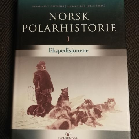 Norsk polarhistorie - Ekspedisjonene