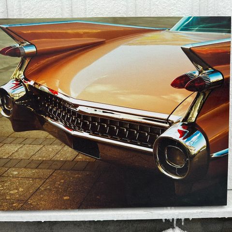Bilde av 1959-mod. Cadillac bakdel