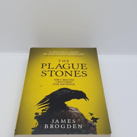 The plague Stones - James Brogden