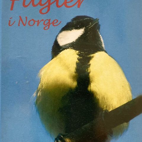 Pål Hermansen: "Fugler i Norge"