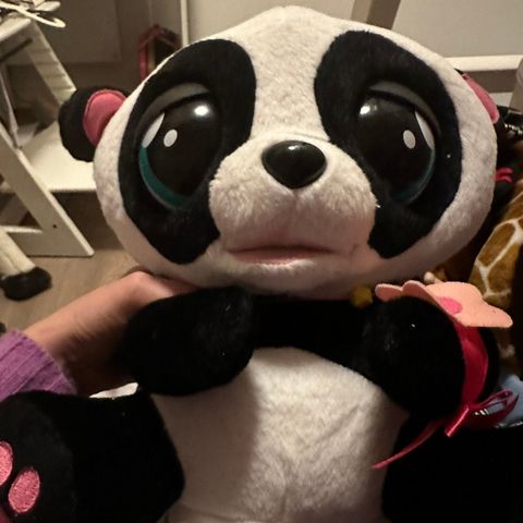 Fuhr real panda som beveger øynene og lager lyder