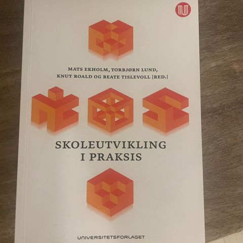 skoleundervisning i praksis