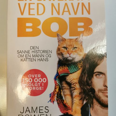 En gatekatt ved navn Bob - James Bowen