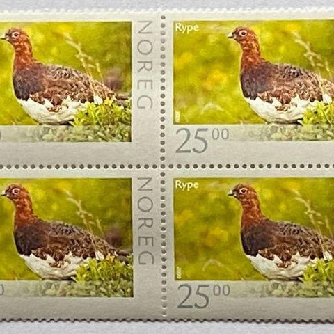 Norge 2009 Norsk Fauna IV Lirype NK 1710 4-blokk Postfrisk