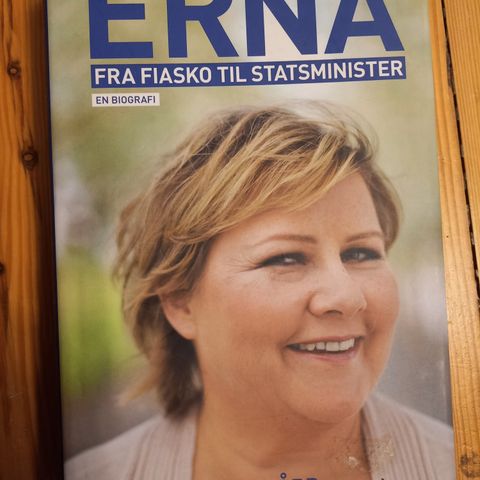 Erna - Fra Fiasko til Statsminister