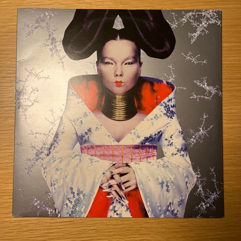 Björk - Homogenic