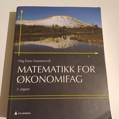 Pensumbok økonomisk matte