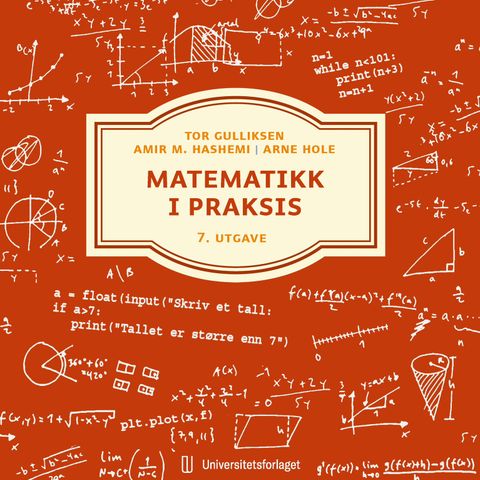 Matematikk i praksis