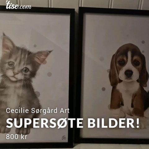 Supersøte bilder fra Cecilie Sørgård!