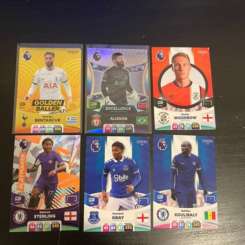 Panini adrenalyn xl premier league Fotballkort 2024