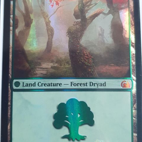 Magic the Gathering kort. Dryad Arbor FOIL