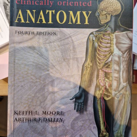 Clinically orientering anatomy, moore& dalley