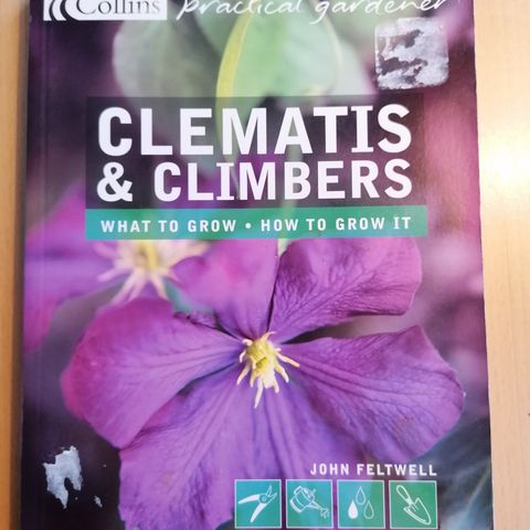 John Feltwell: Clematis and climbers