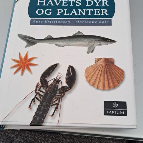 Bok:  Havets Dyr og Planter  Cappelen Damm  2012