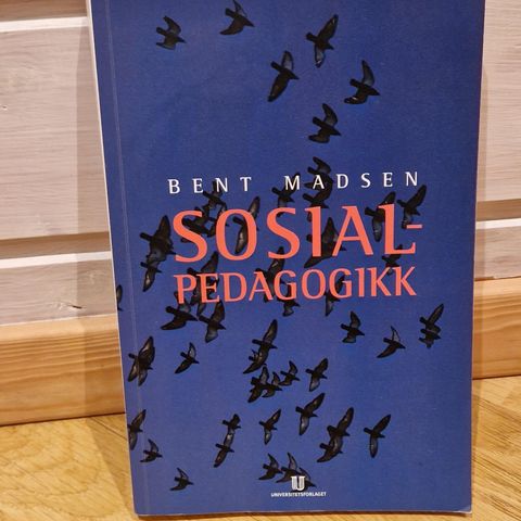 Sosialpedagogikk