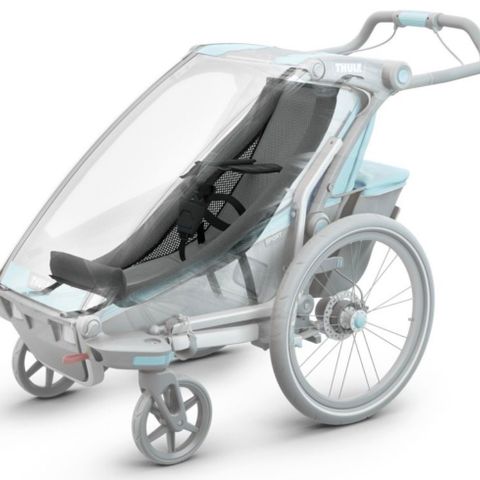 Thule Chariot infant sling.