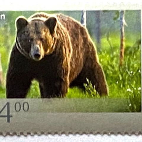 Norge 2008 Norsk fauna offset II: Bjørn  NK 1673   Postfrisk