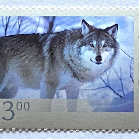 Norge 2008 Norsk fauna offset II: Ulv  NK 1674   Postfrisk