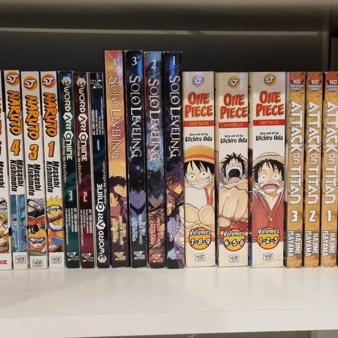 30 stk Anime Manga bøker til salgs.