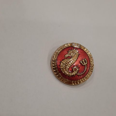 Vakker eldre rød NSF Pin / Merke