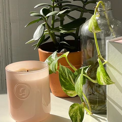 Uåpnet Glossier Orange Blossom Neroli duftlys