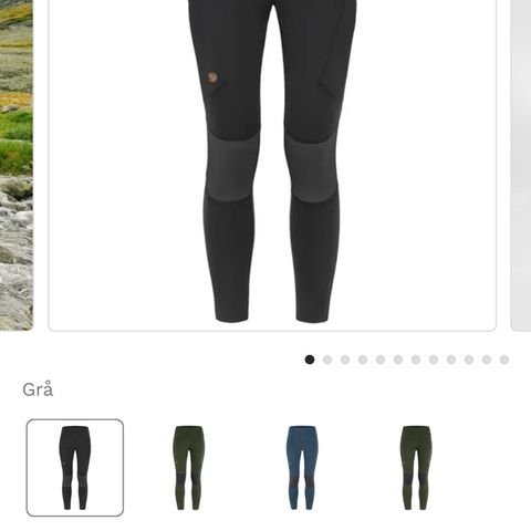 Fjellreven abisko pro tights