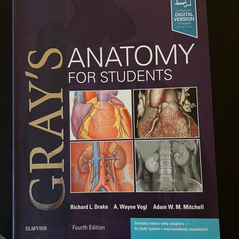 Gray’s anatomibok